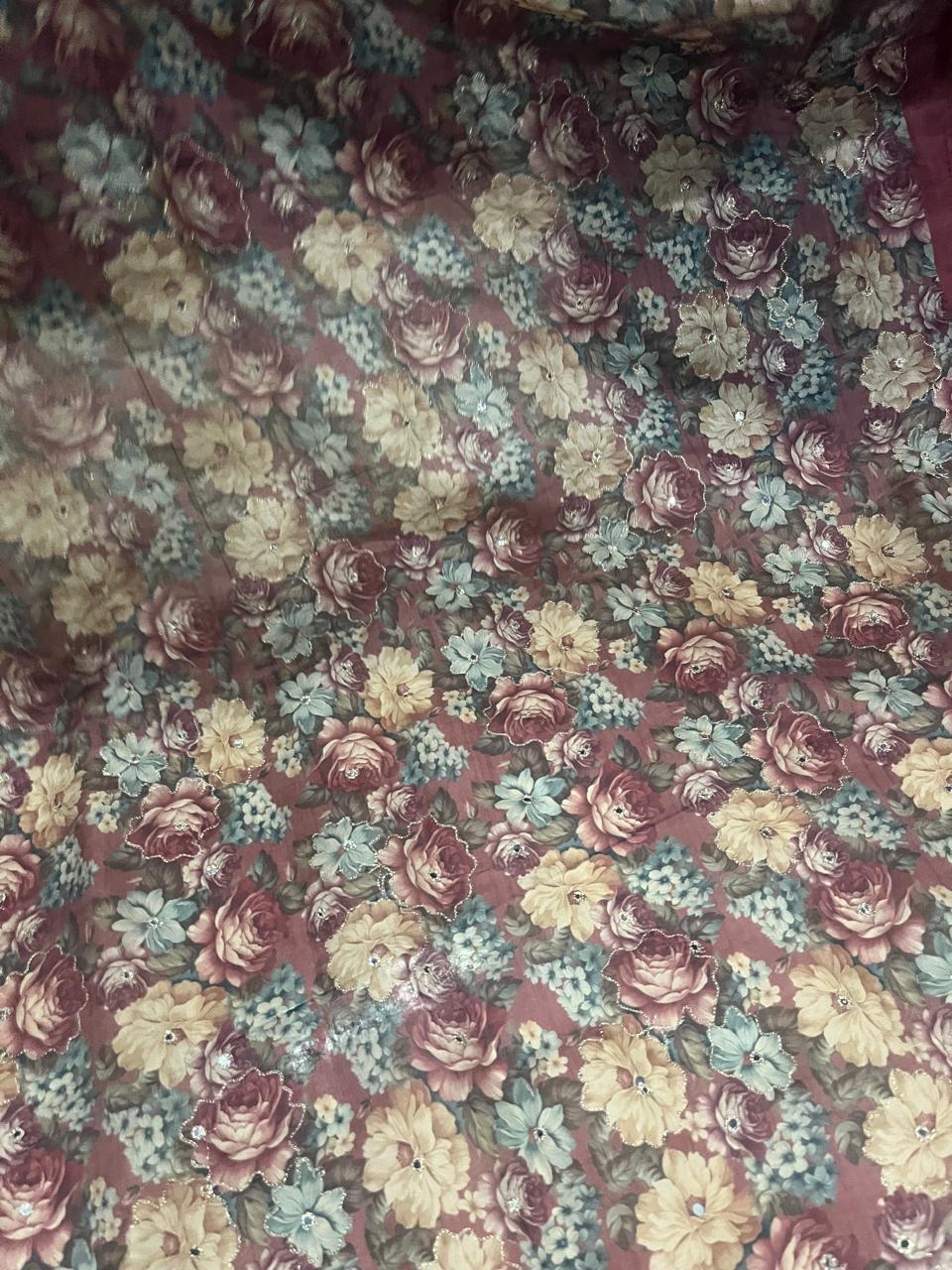 Organza digital print saree